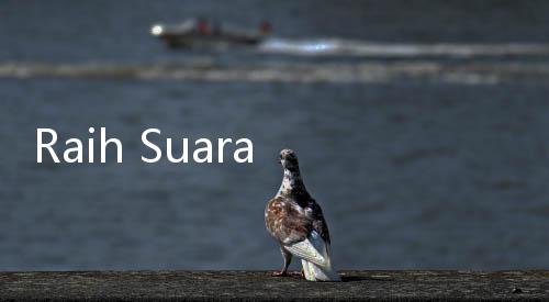 Raih Suara Terbanyak, KPU Tetapkan Pramono Anung