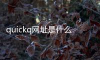 quickq网址是什么？探索这款创新平台的无限可能